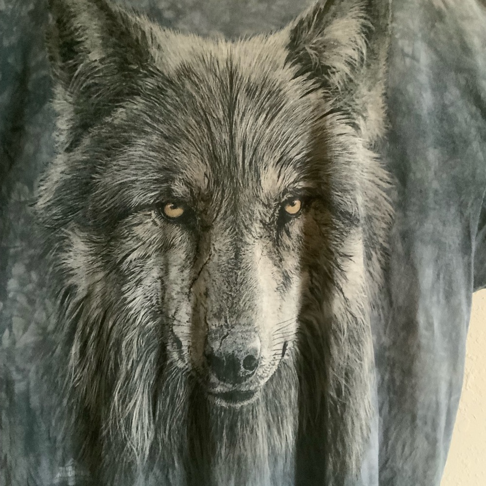 The Warrior Wolf
